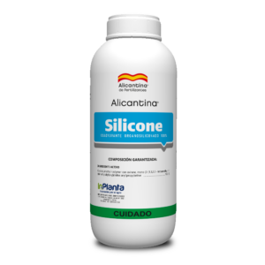 ALICANTINA SILICONE