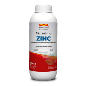 ALICANTINA ZINC