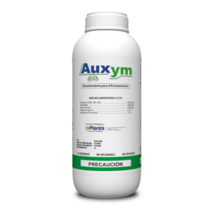 AUXYM