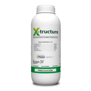 X-TRUCTURE