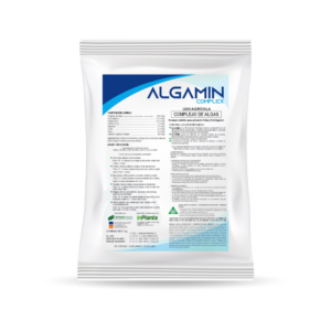 ALGAMIN